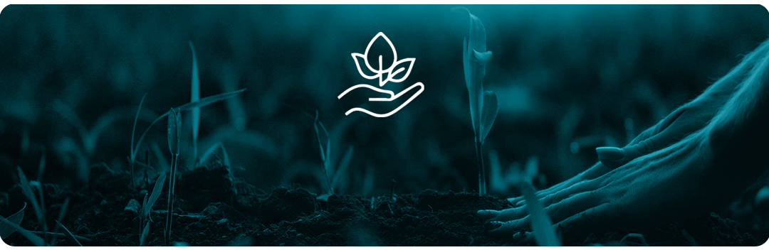 Sustentabilidad y Sostenibilidad en Minería