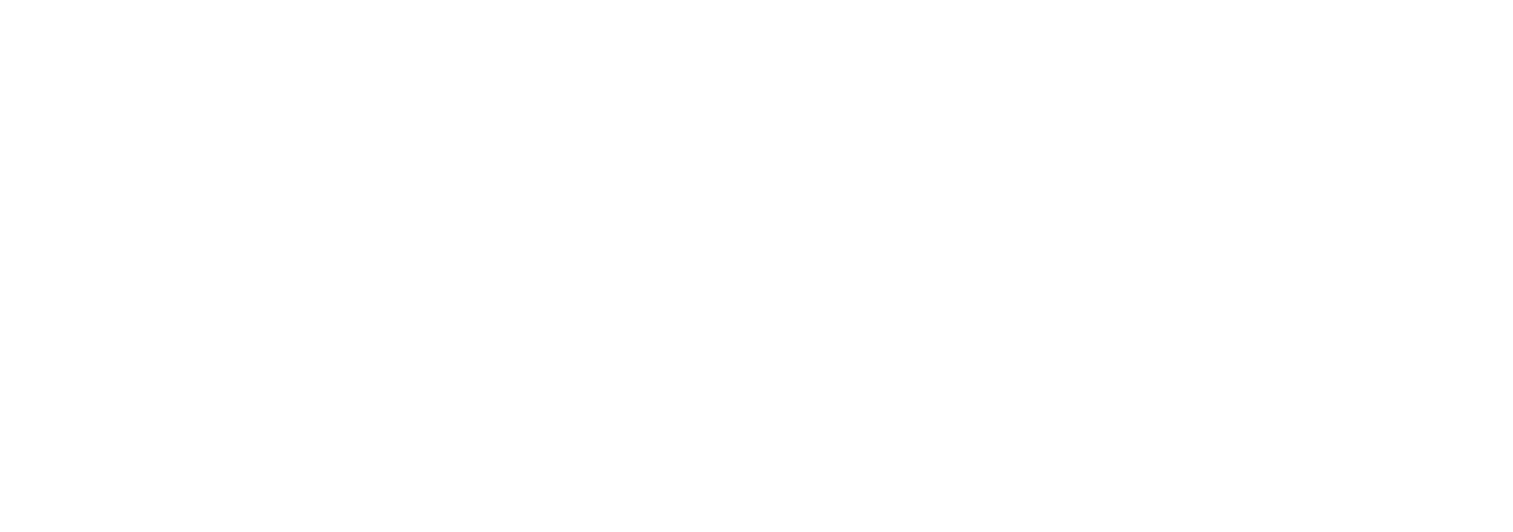 Universidad del Desarrollo Logo